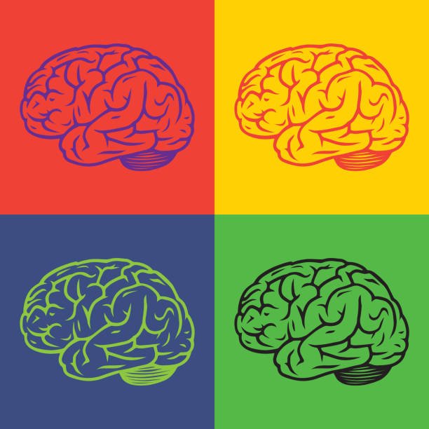 Neurosciences et surinterprétations : les limites d’une science trop idéalisée